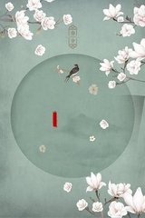 深入了解 老中医Spa阴道护理